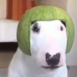 Meet your Posher, Khalil